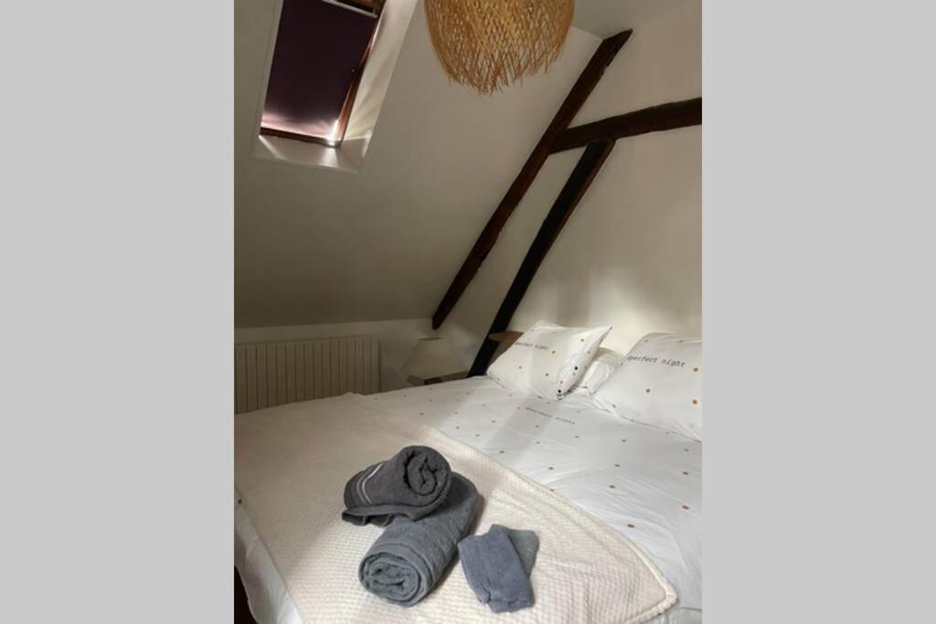 Appartement «La Vie Est Belle» Au Coeur De Sezanne Sézanne Exterior foto